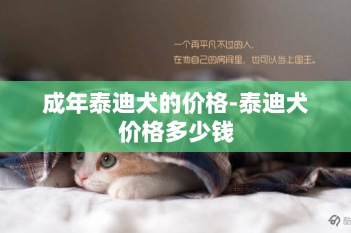 成年泰迪犬的價格-泰迪犬價格多少錢
