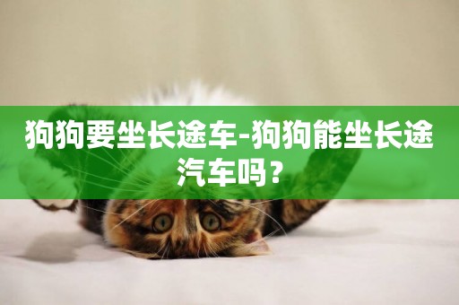狗狗要坐長途車-狗狗能坐長途汽車嗎？