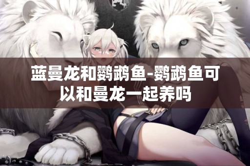 藍曼龍和鸚鵡魚-鸚鵡魚可以和曼龍一起養嗎