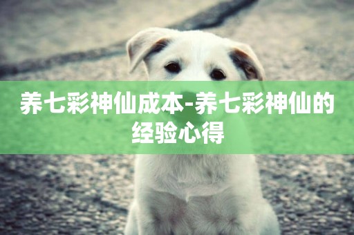 養七彩神仙成本-養七彩神仙的經驗心得
