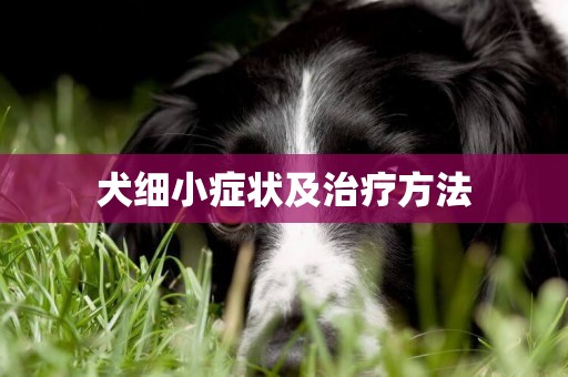 犬細小癥狀及治療方法