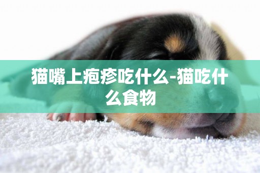 貓嘴上皰疹吃什么-貓吃什么食物