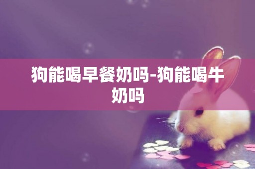 狗能喝早餐奶嗎-狗能喝牛奶嗎