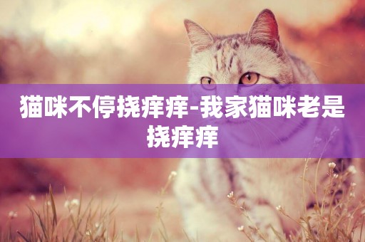 貓咪不停撓癢癢-我家貓咪老是撓癢癢