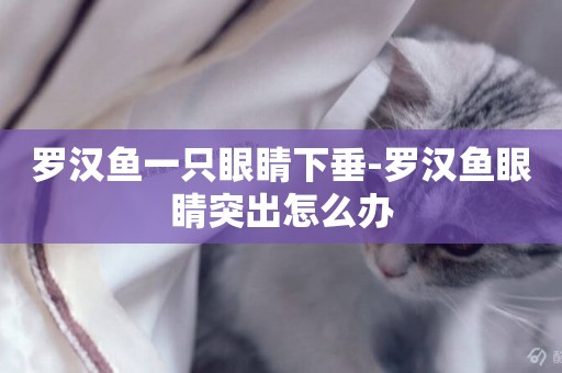 羅漢魚一只眼睛下垂-羅漢魚眼睛突出怎么辦