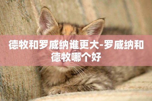 德牧和羅威納誰更大-羅威納和德牧哪個好