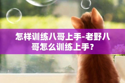 怎樣訓練八哥上手-老野八哥怎么訓練上手？