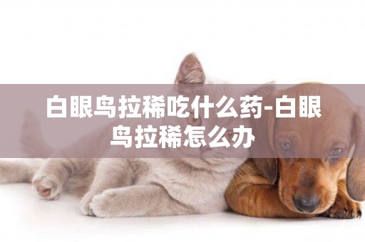白眼鳥拉稀吃什么藥-白眼鳥拉稀怎么辦