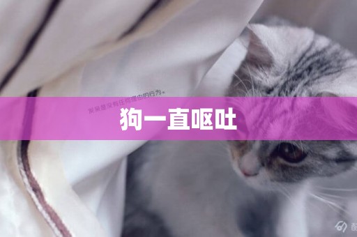 狗一直嘔吐