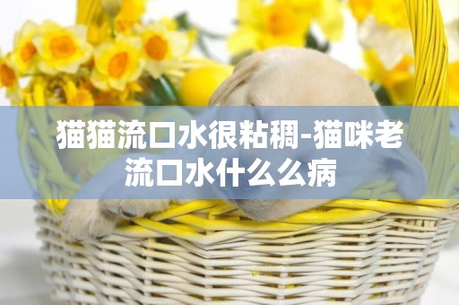 貓貓流口水很粘稠-貓咪老流口水什么么病