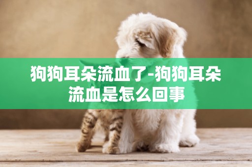 狗狗耳朵流血了-狗狗耳朵流血是怎么回事