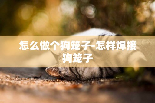 怎么做個狗籠子-怎樣焊接狗籠子