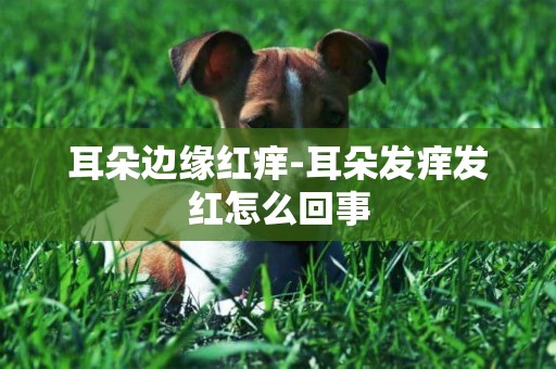 耳朵邊緣紅癢-耳朵發癢發紅怎么回事