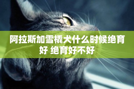 阿拉斯加雪橇犬什么時候絕育好 絕育好不好