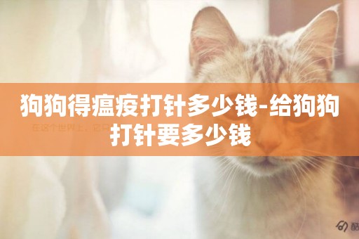 狗狗得瘟疫打針多少錢-給狗狗打針要多少錢
