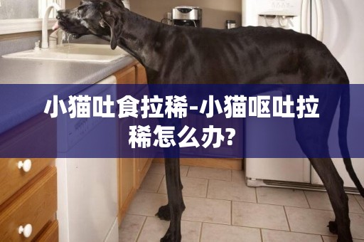 小貓吐食拉稀-小貓嘔吐拉稀怎么辦?