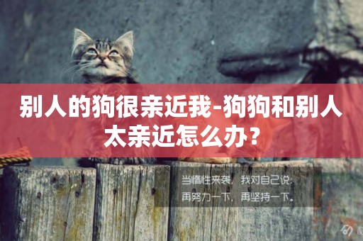 別人的狗很親近我-狗狗和別人太親近怎么辦？