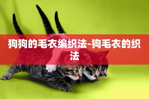狗狗的毛衣編織法-狗毛衣的織法
