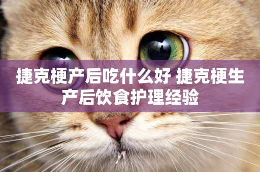 捷克梗產后吃什么好 捷克梗生產后飲食護理經驗