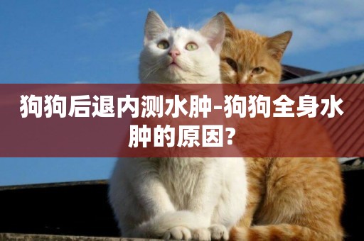 狗狗后退內測水腫-狗狗全身水腫的原因?
