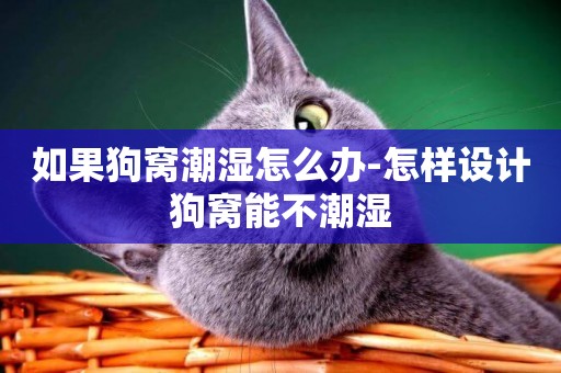 如果狗窩潮濕怎么辦-怎樣設計狗窩能不潮濕