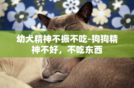 幼犬精神不振不吃-狗狗精神不好，不吃東西