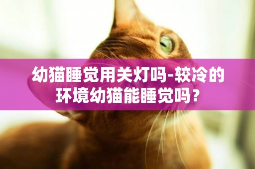 幼貓睡覺用關燈嗎-較冷的環境幼貓能睡覺嗎？