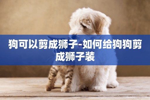 狗可以剪成獅子-如何給狗狗剪成獅子裝