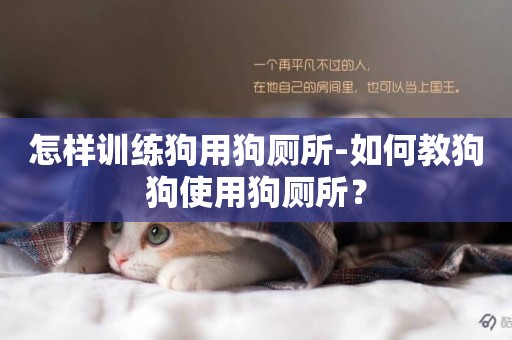 怎樣訓練狗用狗廁所-如何教狗狗使用狗廁所？
