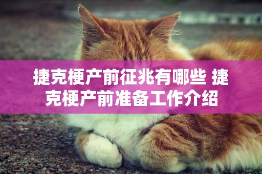 捷克梗產前征兆有哪些 捷克梗產前準備工作介紹