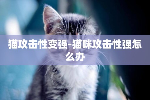 貓攻擊性變強-貓咪攻擊性強怎么辦