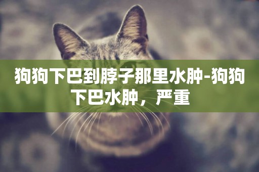 狗狗下巴到脖子那里水腫-狗狗下巴水腫，嚴重