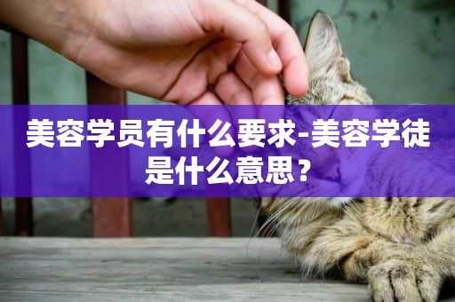 美容學員有什么要求-美容學徒是什么意思？