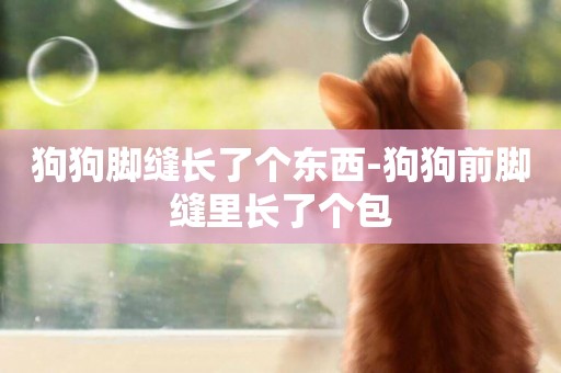 狗狗腳縫長了個東西-狗狗前腳縫里長了個包
