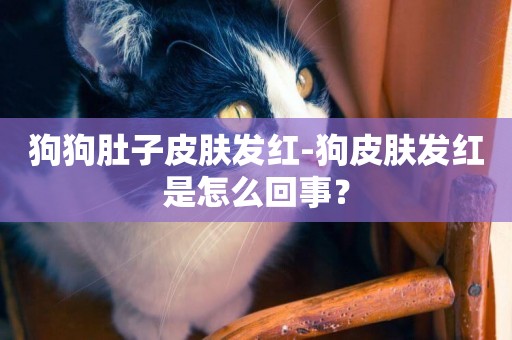狗狗肚子皮膚發紅-狗皮膚發紅是怎么回事？