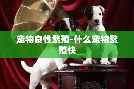 寵物良性繁殖-什么寵物繁殖快