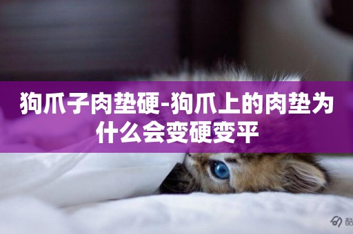 狗爪子肉墊硬-狗爪上的肉墊為什么會變硬變平