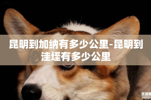 昆明到加納有多少公里-昆明到洼垤有多少公里