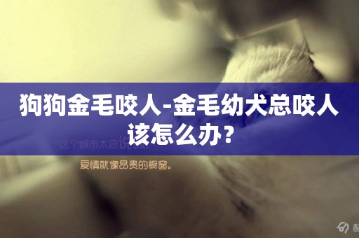 狗狗金毛咬人-金毛幼犬總咬人該怎么辦？