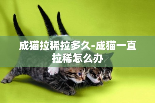 成貓拉稀拉多久-成貓一直拉稀怎么辦