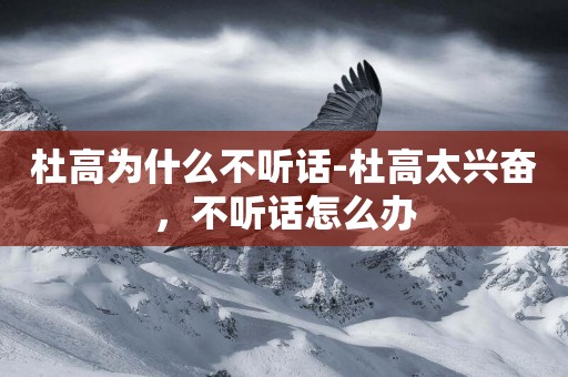杜高為什么不聽話-杜高太興奮，不聽話怎么辦