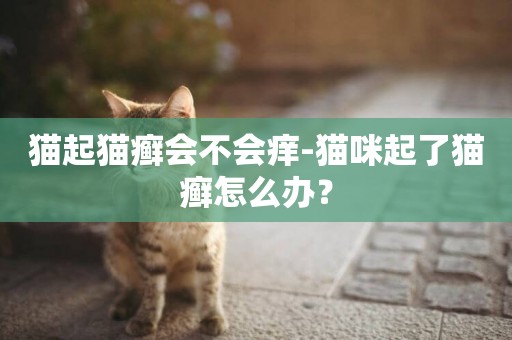 貓起貓癬會不會癢-貓咪起了貓癬怎么辦？