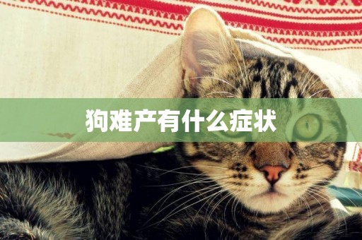 狗難產有什么癥狀