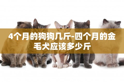 4個月的狗狗幾斤-四個月的金毛犬應該多少斤