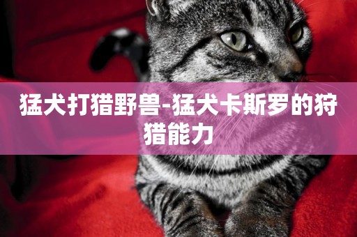 猛犬打獵野獸-猛犬卡斯羅的狩獵能力