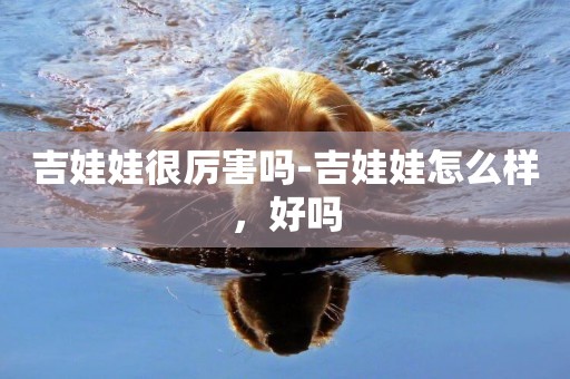 吉娃娃很厲害嗎-吉娃娃怎么樣，好嗎
