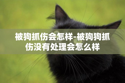被狗抓傷會怎樣-被狗狗抓傷沒有處理會怎么樣