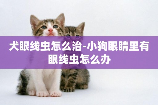犬眼線蟲怎么治-小狗眼睛里有眼線蟲怎么辦