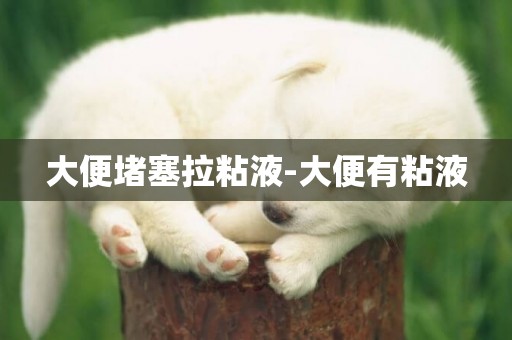 大便堵塞拉粘液-大便有粘液