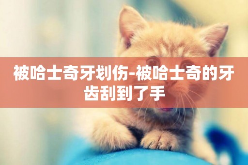 被哈士奇牙劃傷-被哈士奇的牙齒刮到了手